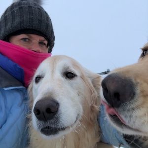 Meet your Posher, Jane